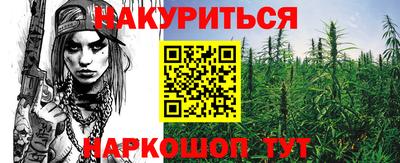 Альфа ПВП Аргун
