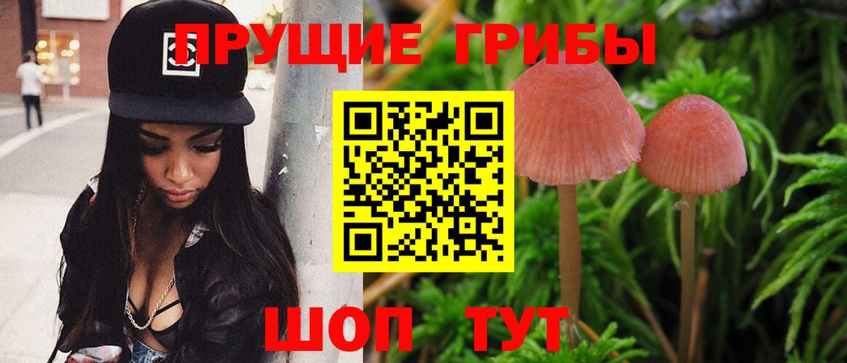 Псилоцибиновые грибы прущие грибы Волгодонск