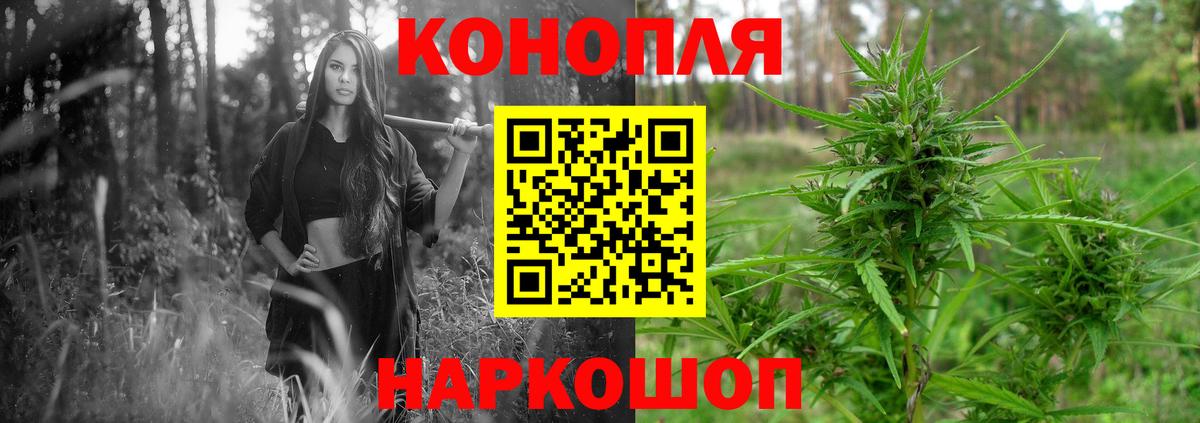 Шишки марихуана сатива  Каннабис OG Kush  Волгодонск  Канабис сатива  Вход с VPN 